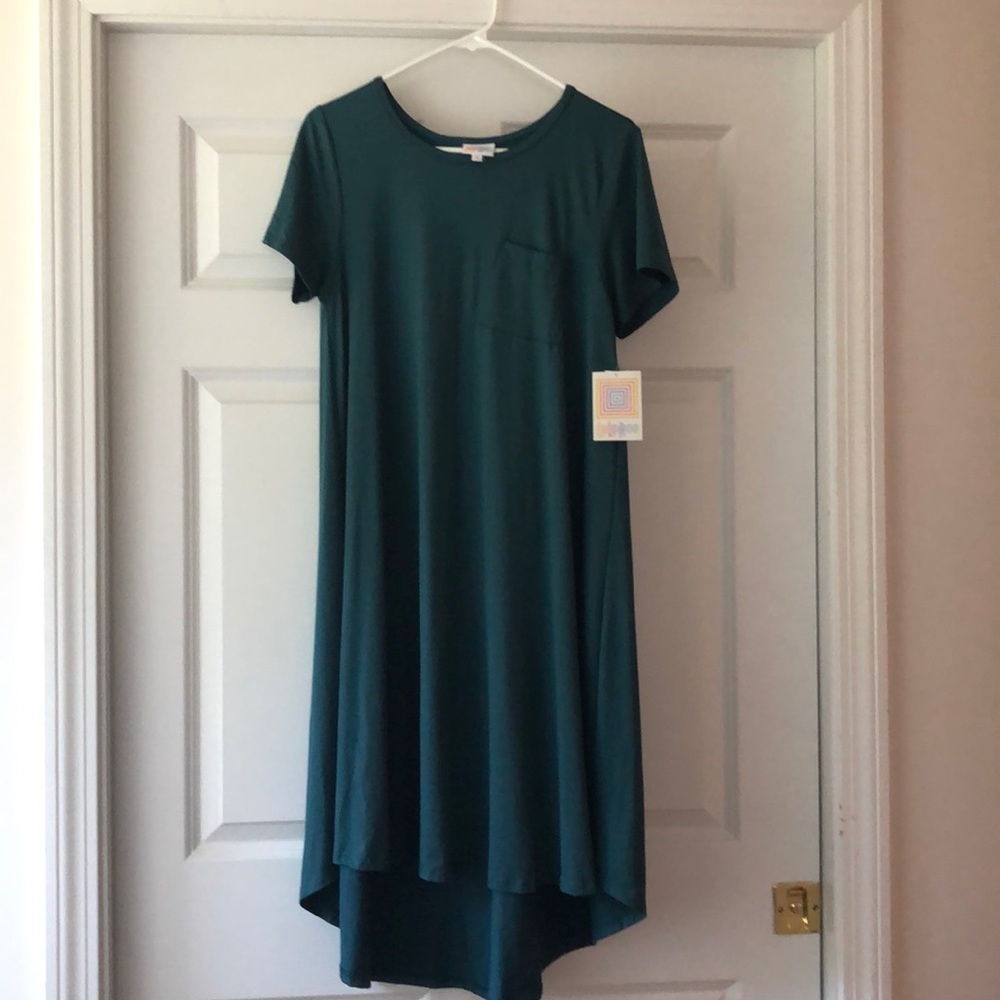 New with tags LuLaRoe Carly dress.